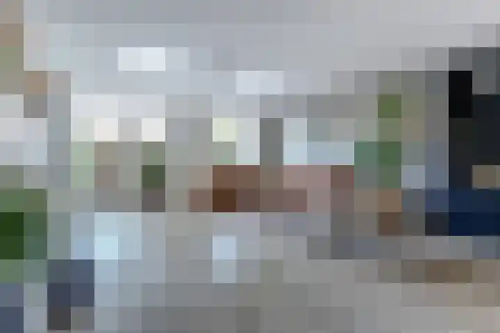 Amaliastein 181 Vianen thumbnail 6