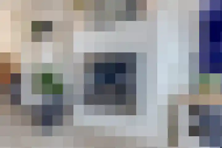 Amaliastein 181 Vianen thumbnail 9