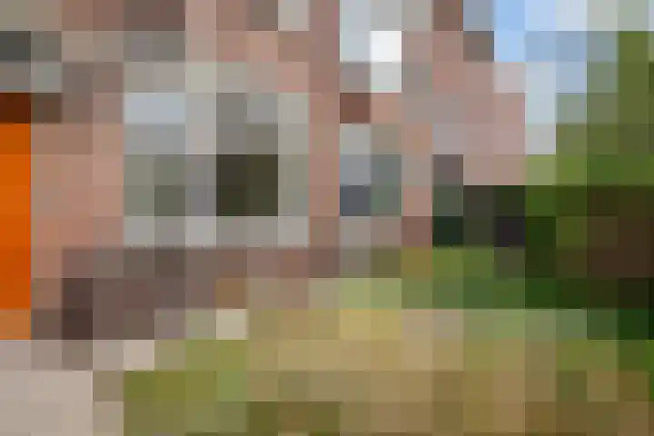 Amandelstraat 49 Den Haag thumbnail 5
