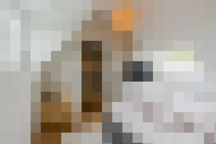 Amandil 17 Geldrop thumbnail 21