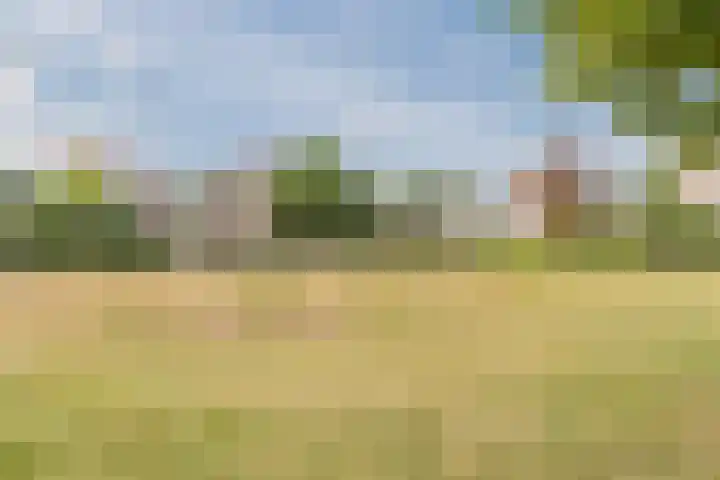 Amandil 17 Geldrop thumbnail 26