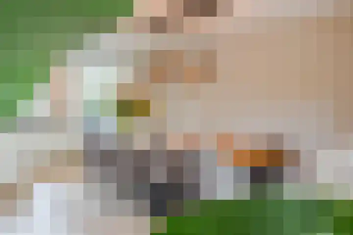 Amandil 17 Geldrop thumbnail 8