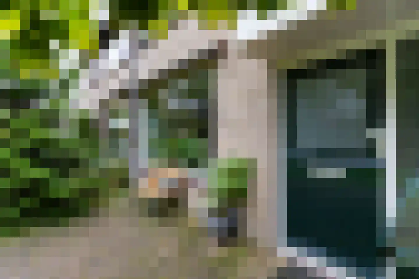 Amarilpad 10 IJsselstein thumbnail 36