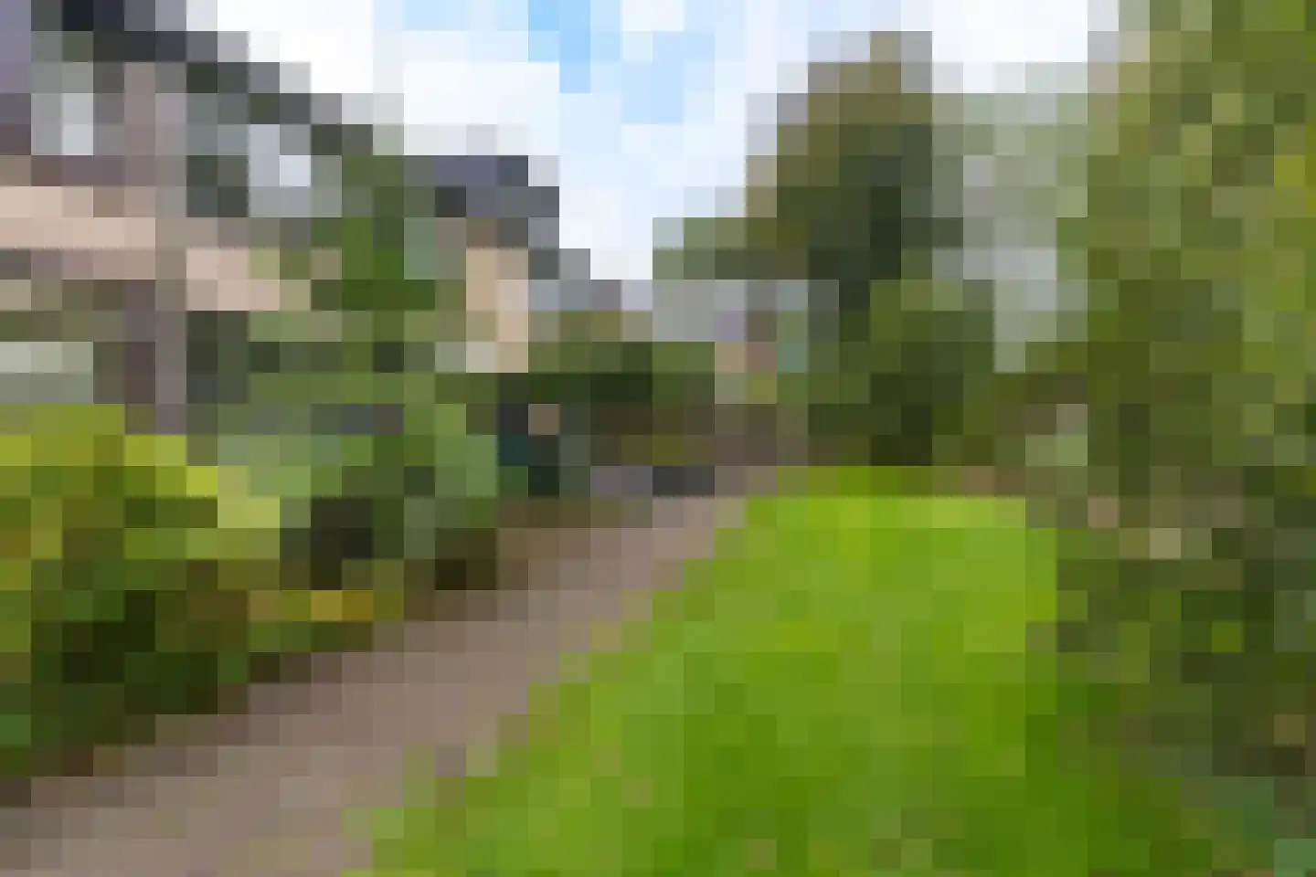 Amarilpad 10 IJsselstein thumbnail 37