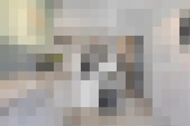 Amaryllisstraat 4 Steenbergen thumbnail 10