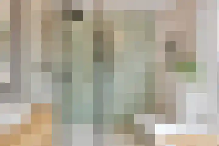 Amaryllisstraat 4 Steenbergen thumbnail 15