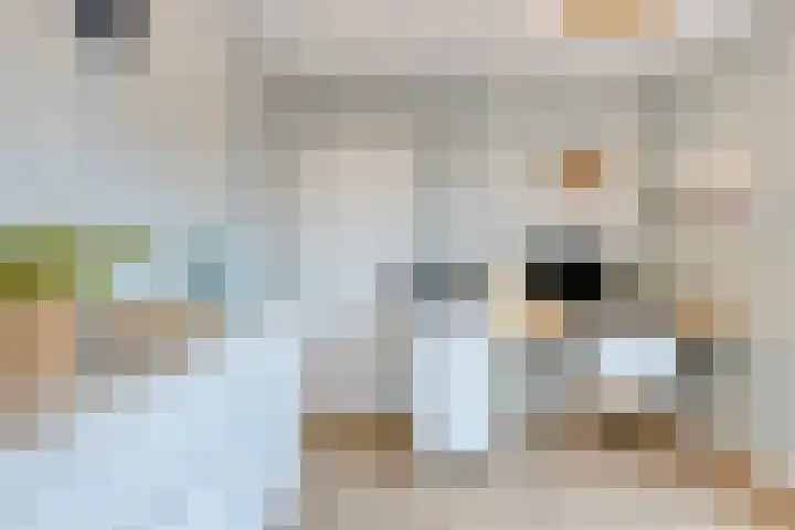 Amaryllisstraat 4 Steenbergen thumbnail 21