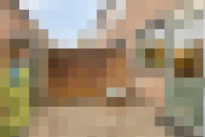 Amaryllisstraat 4 Steenbergen thumbnail 30