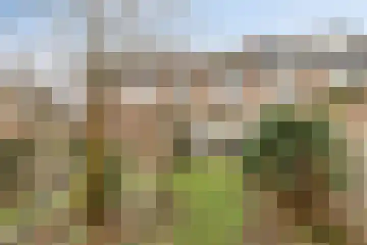Amaryllisstraat 4 Steenbergen thumbnail 34
