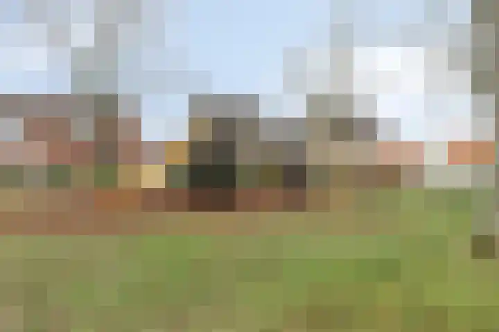 Amaryllisstraat 4 Steenbergen thumbnail 39