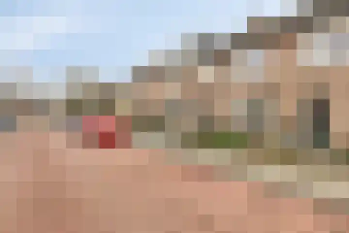 Amaryllisstraat 4 Steenbergen thumbnail 41