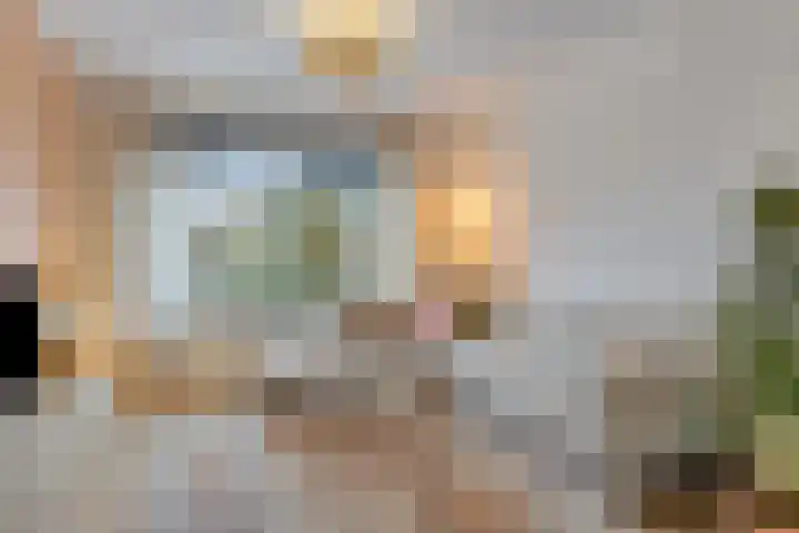 Amaryllisstraat 4 Steenbergen thumbnail 5