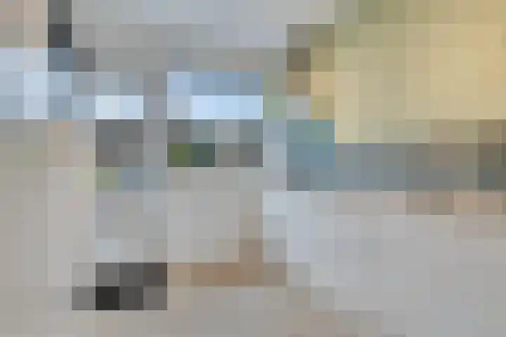 Amaryllisstraat 4 Steenbergen thumbnail 8