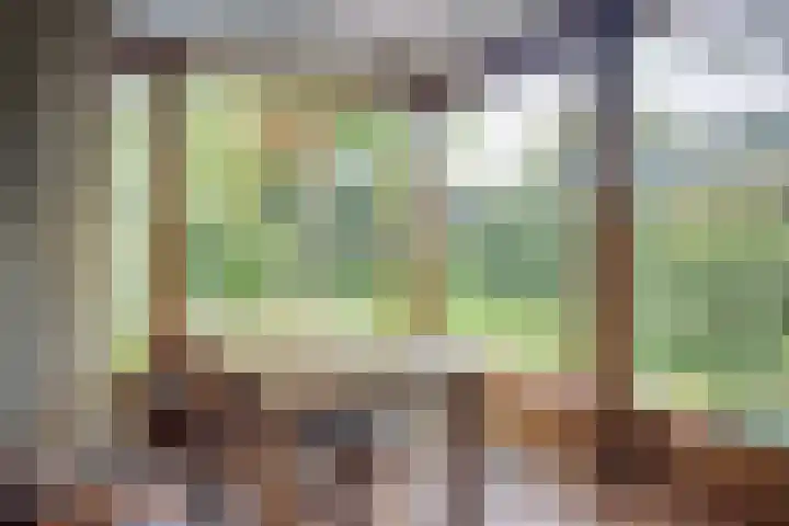 Amathasstraat 2 Sint Anthonis thumbnail 10