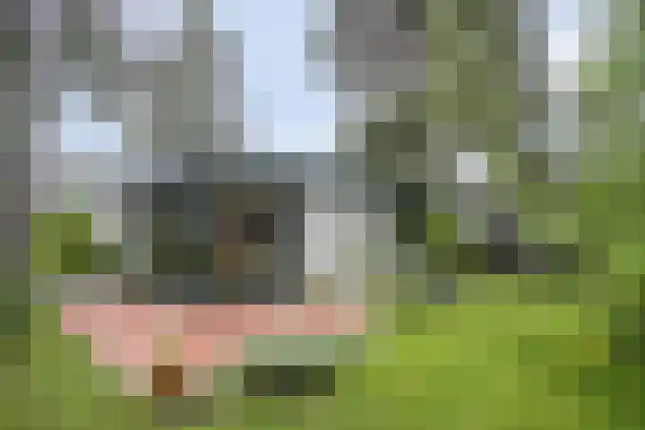 Amathasstraat 2 Sint Anthonis thumbnail 21