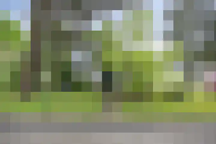 Amathasstraat 2 Sint Anthonis foto 3