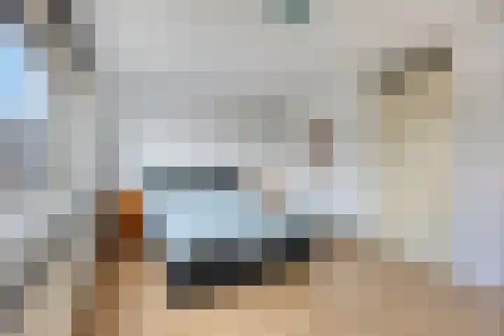 Amazonelaan 141 Purmerend thumbnail 26