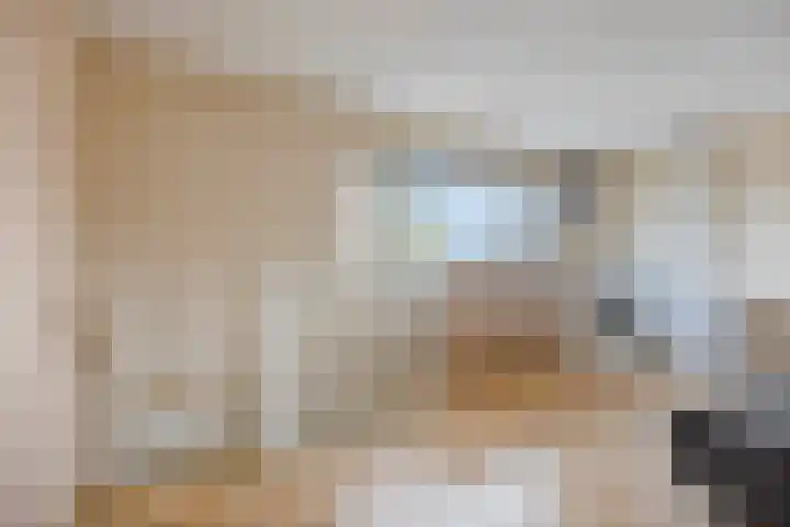 Amazonelaan 141 Purmerend thumbnail 35