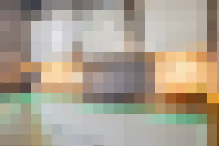 Amazonestraat 3 Spijkenisse thumbnail 12