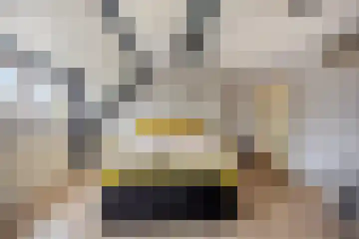 Amazonestraat 3 Spijkenisse thumbnail 14