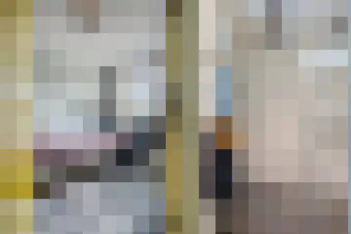 Amazonestraat 3 Spijkenisse thumbnail 17