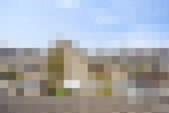 Amazonestraat 3 Spijkenisse thumbnail 22