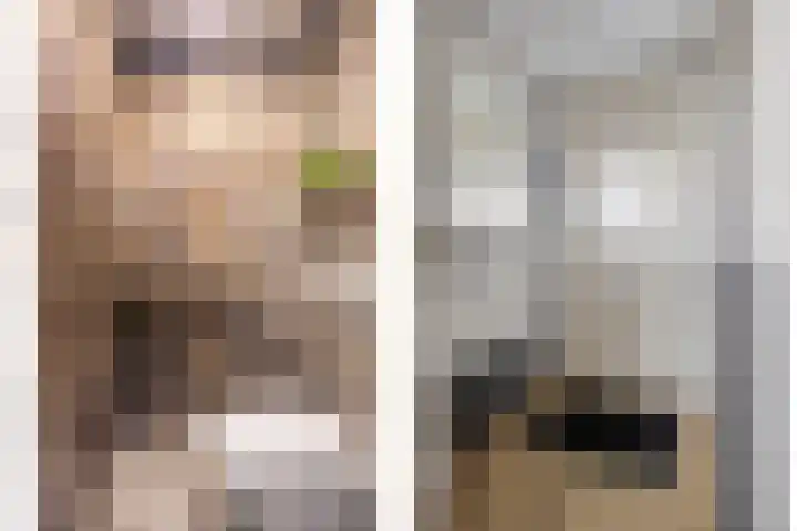 Amazonestraat 3 Spijkenisse thumbnail 5