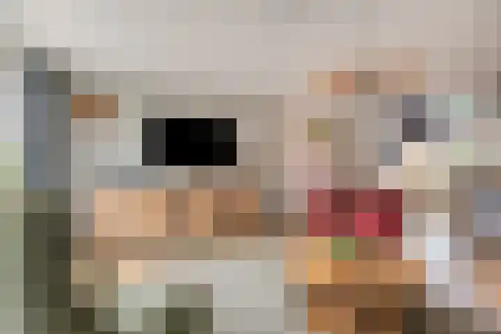 Amazonestraat 3 Spijkenisse thumbnail 7