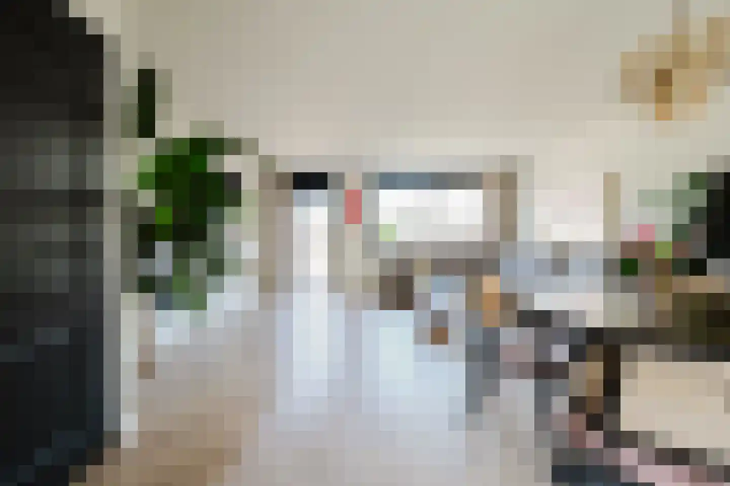 Amazonestraat 55 Spijkenisse thumbnail 13