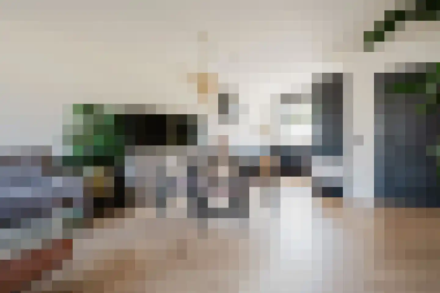 Amazonestraat 55 Spijkenisse thumbnail 17