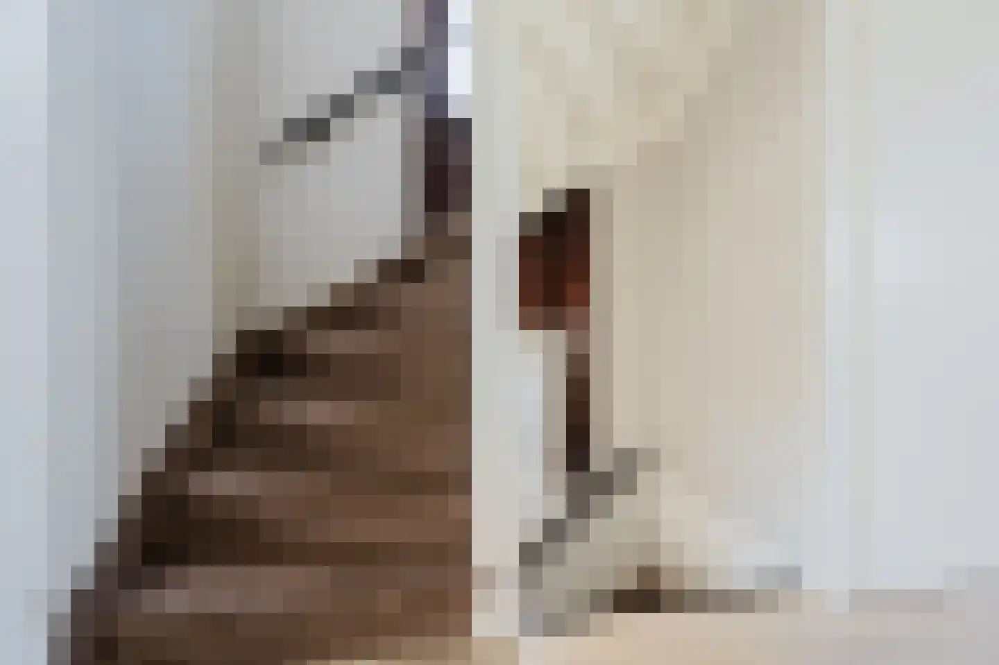 Amazonestraat 55 Spijkenisse thumbnail 24