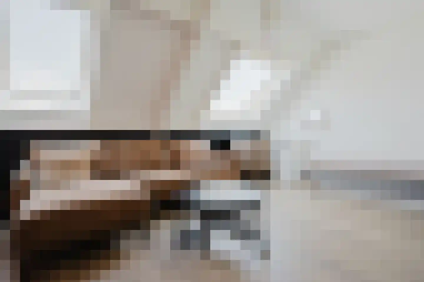 Amazonestraat 55 Spijkenisse thumbnail 25