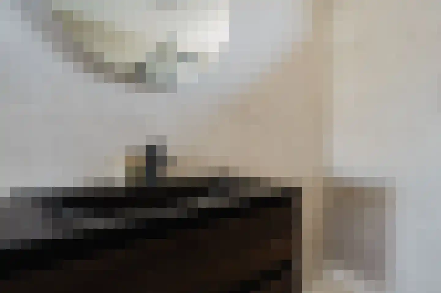 Amazonestraat 55 Spijkenisse thumbnail 28