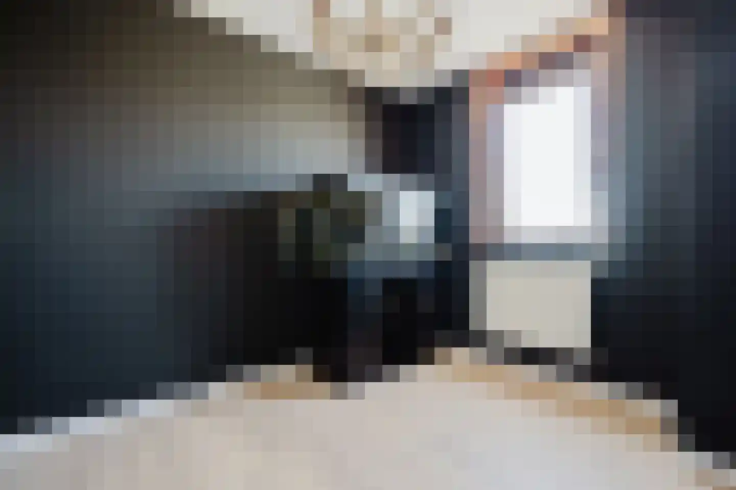 Amazonestraat 55 Spijkenisse thumbnail 35