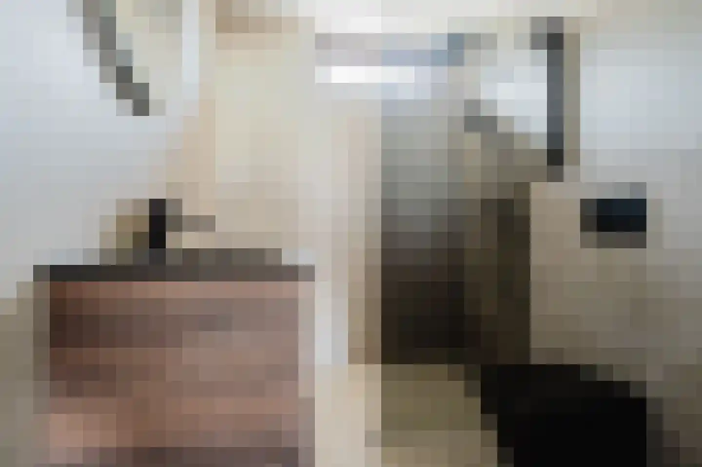 Amazonestraat 55 Spijkenisse thumbnail 4