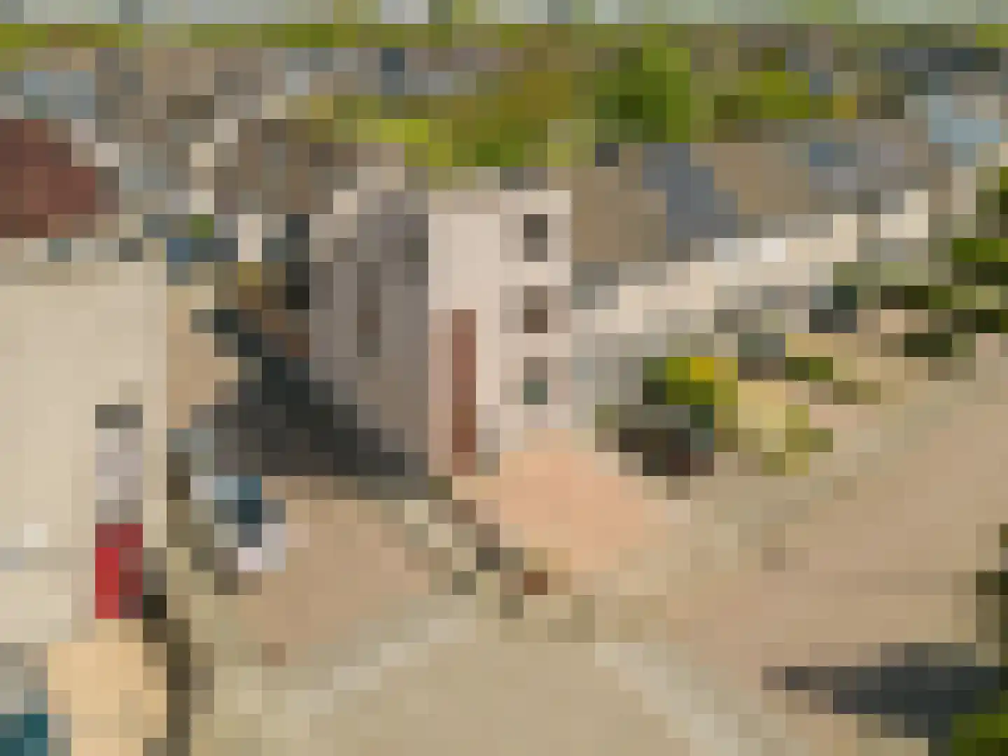 Amazonestraat 55 Spijkenisse thumbnail 6