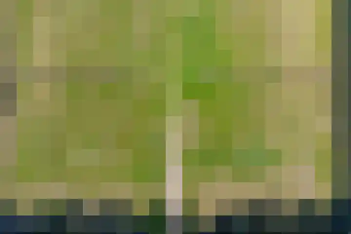 Ambachtsheerenlaan 5 A Numansdorp thumbnail 6
