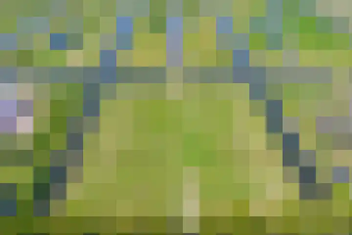 Ambachtsheerenlaan 5 A Numansdorp thumbnail 9