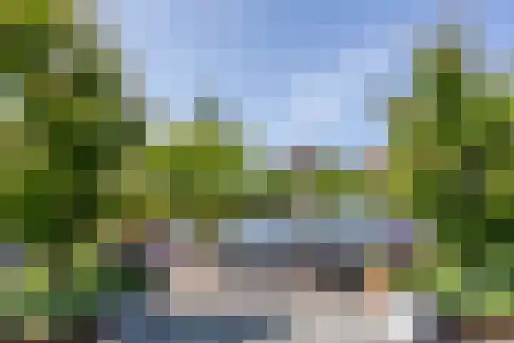Ambachtslaan 37 Assendelft thumbnail 14