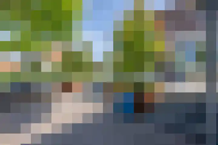Ambachtslaan 37 Assendelft thumbnail 15