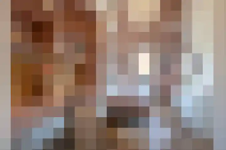 Ambachtslaan 37 Assendelft thumbnail 20