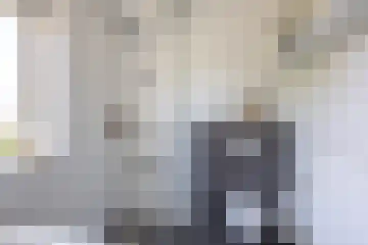 Ambachtslaan 37 Assendelft thumbnail 24