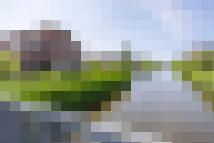 Ambachtslaan 37 Assendelft thumbnail 29