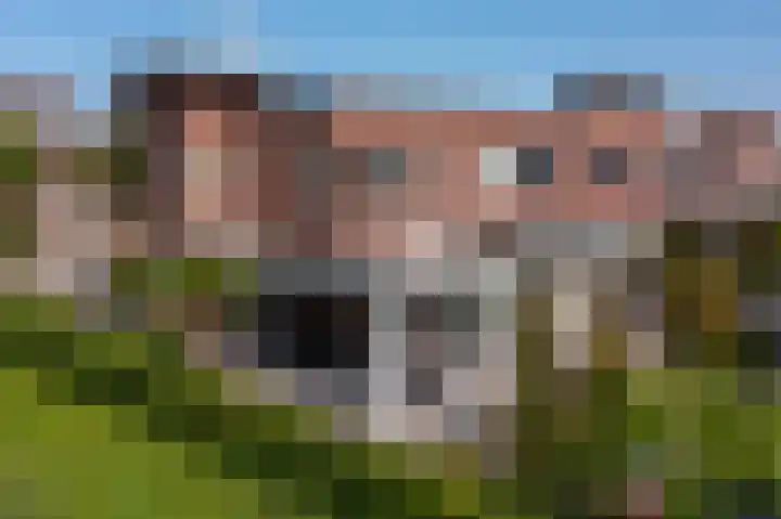 Ambachtslaan 37 Assendelft thumbnail 30
