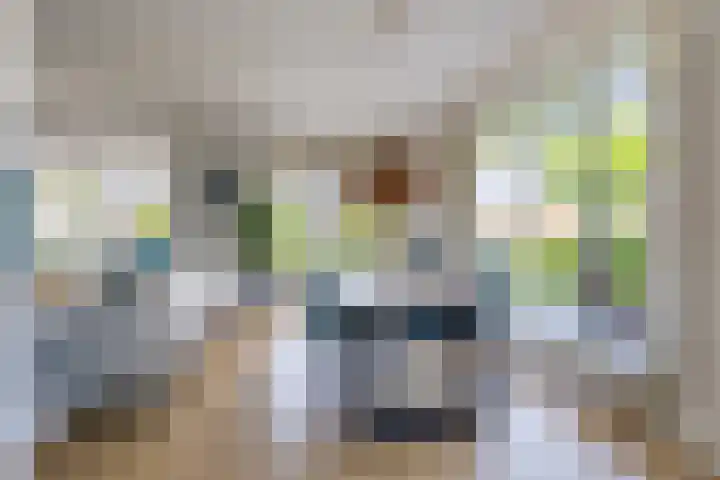 Ambachtslaan 37 Assendelft thumbnail 5