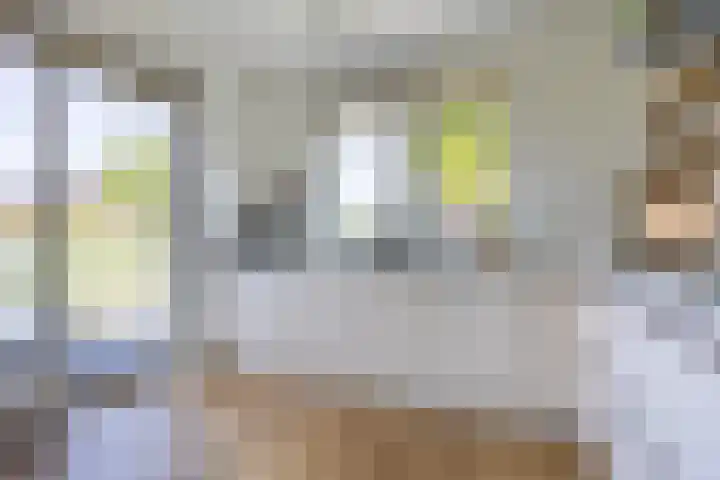 Ambachtslaan 37 Assendelft thumbnail 7