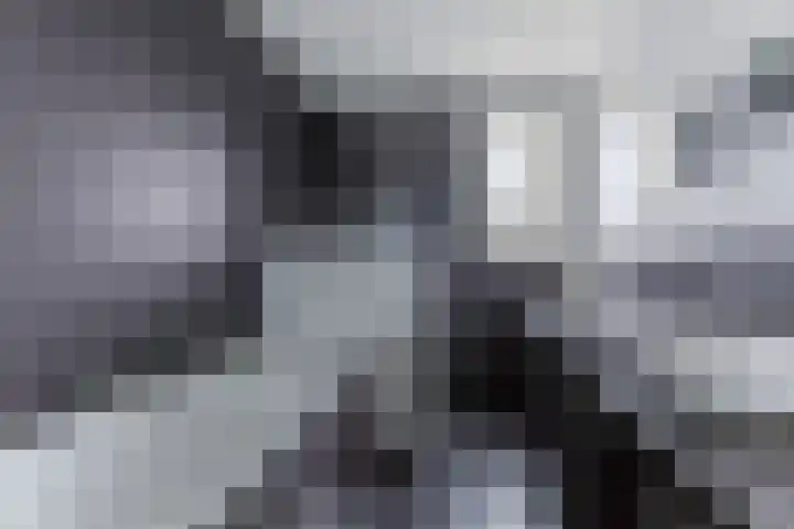 Ambachtslaan 42 Assendelft thumbnail 22