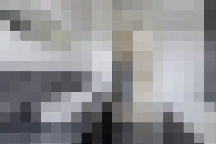 Ambachtslaan 42 Assendelft thumbnail 23