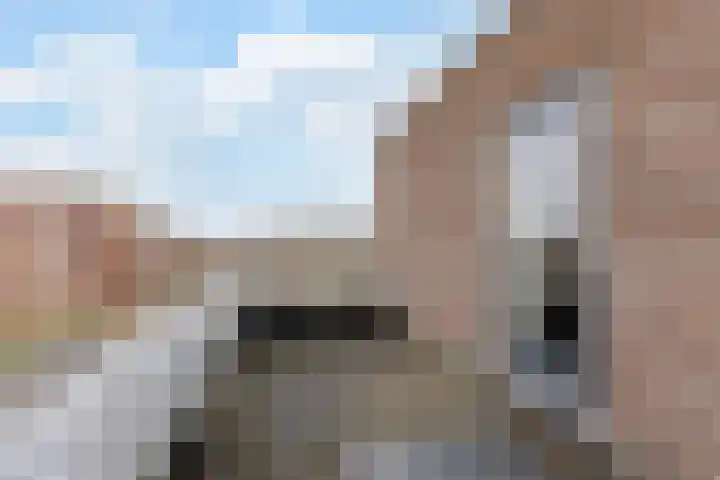 Ambachtslaan 42 Assendelft thumbnail 31
