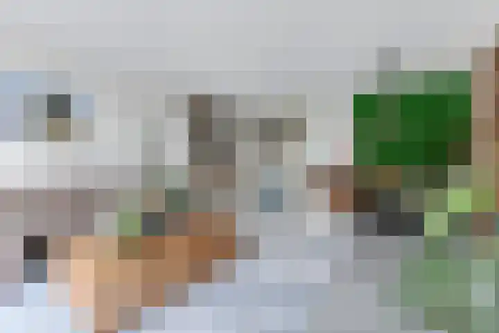 Ambachtslaan 42 Assendelft thumbnail 4